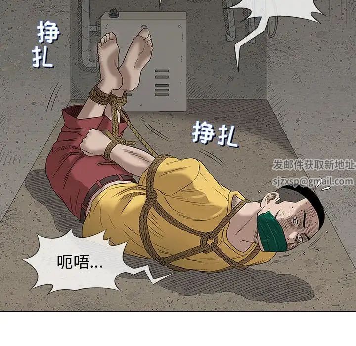 奇趣新人第37话