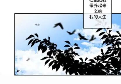 墓誌铭第14话