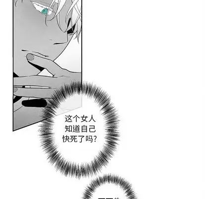 墓誌銘第14话
