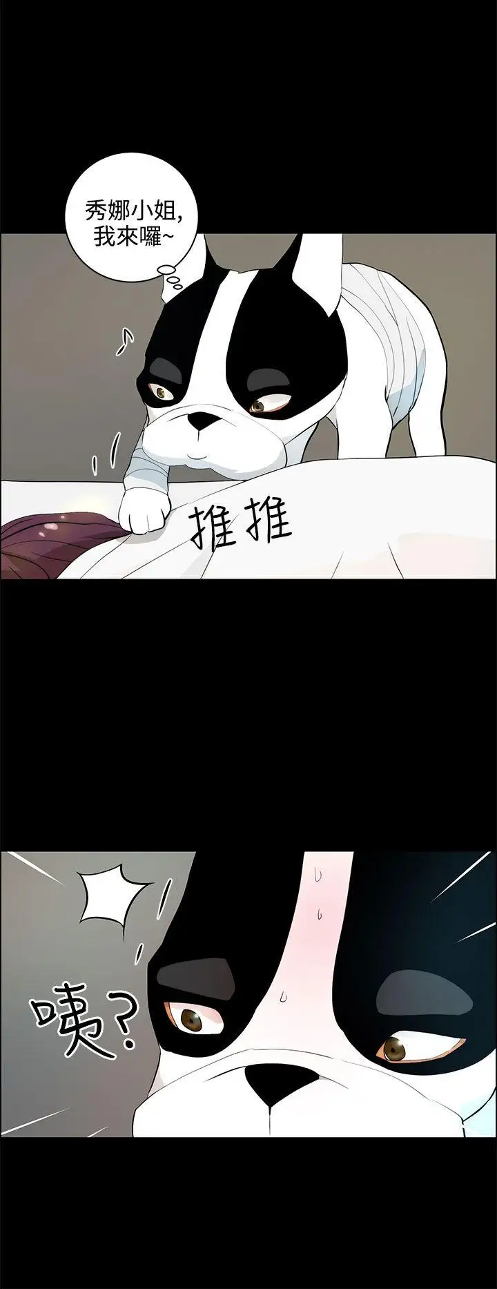 变成狗的男人第19话