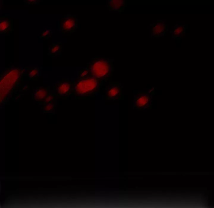 耳畔的神音第33話