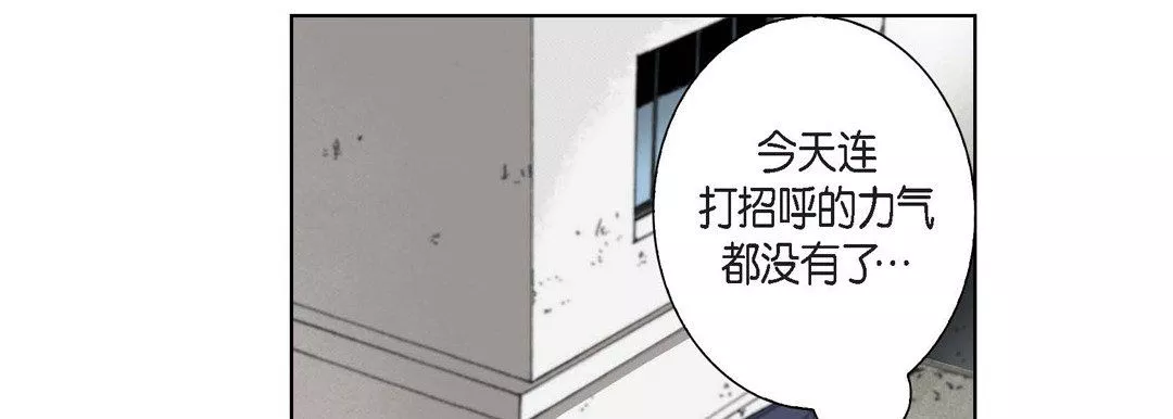 完美無缺的虜獲第4話