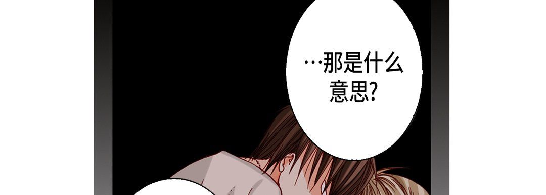 完美无缺的虏获第17话