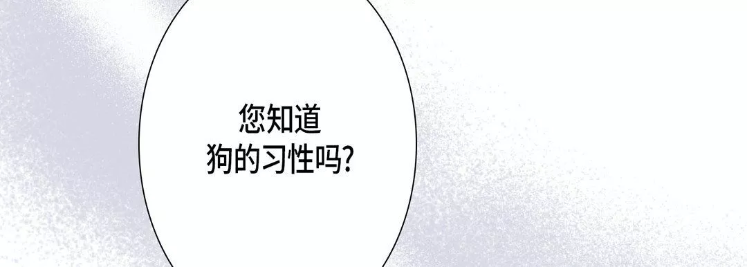 完美無缺的虜獲第25話