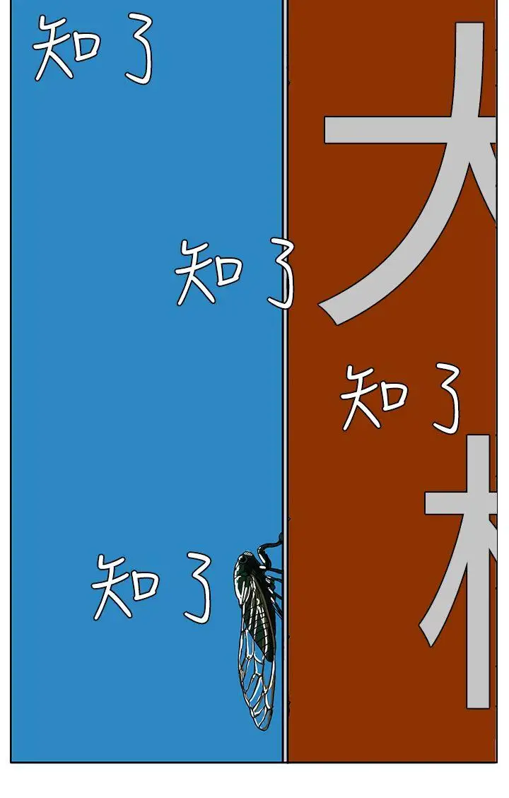 RUN（完结）最终话