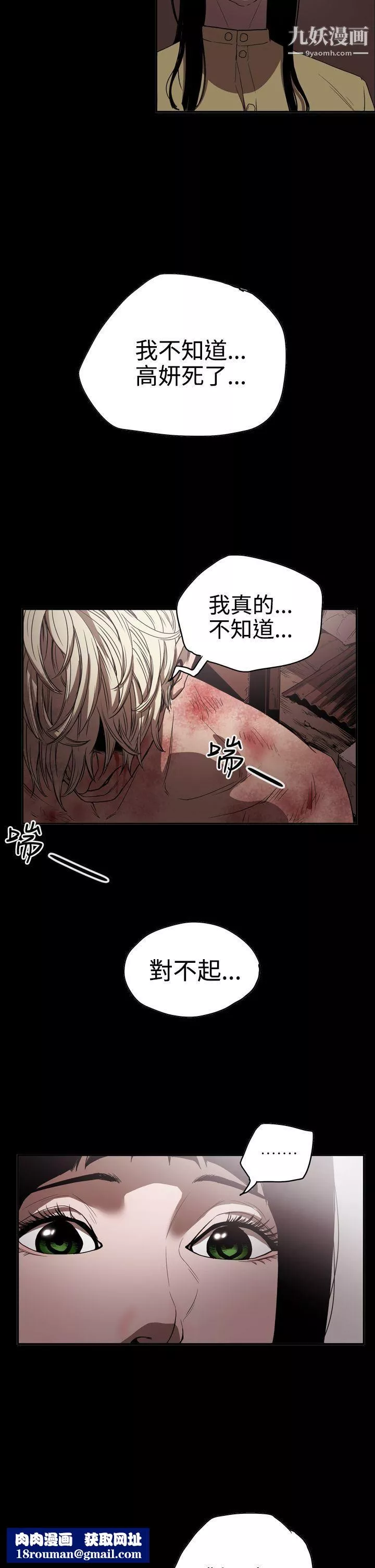ACE:禁斷的詐欺之夜第2季-第13話