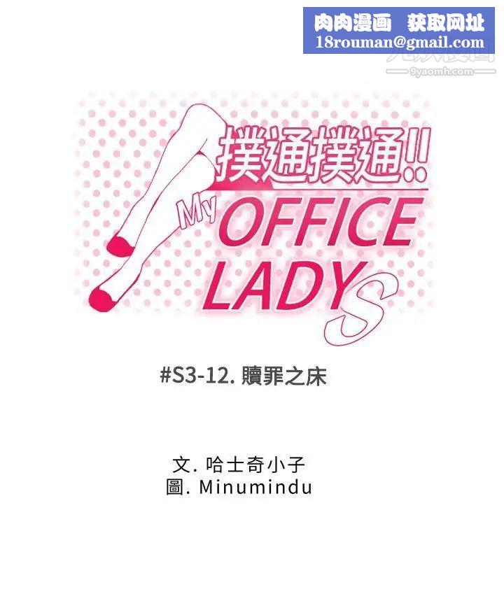 撲通撲通!MYOFFICELADYS第3季-第12話