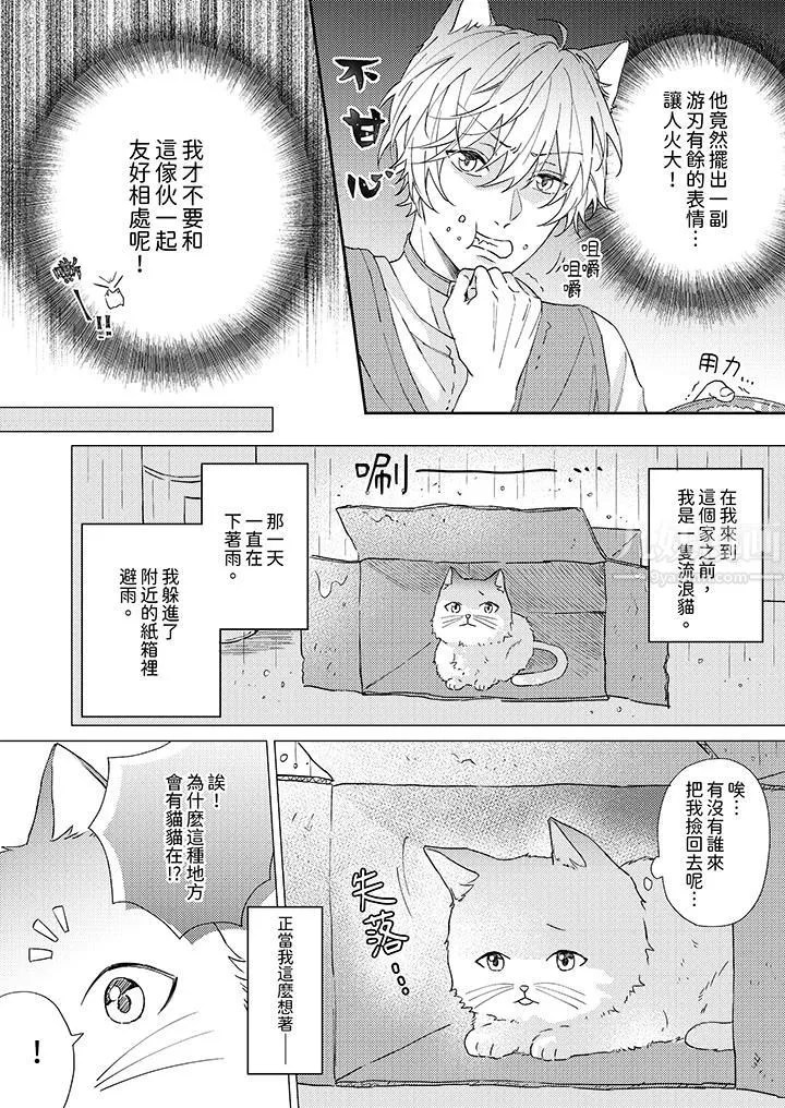 哈魯和路伊的二喵世界lovelife！第1話