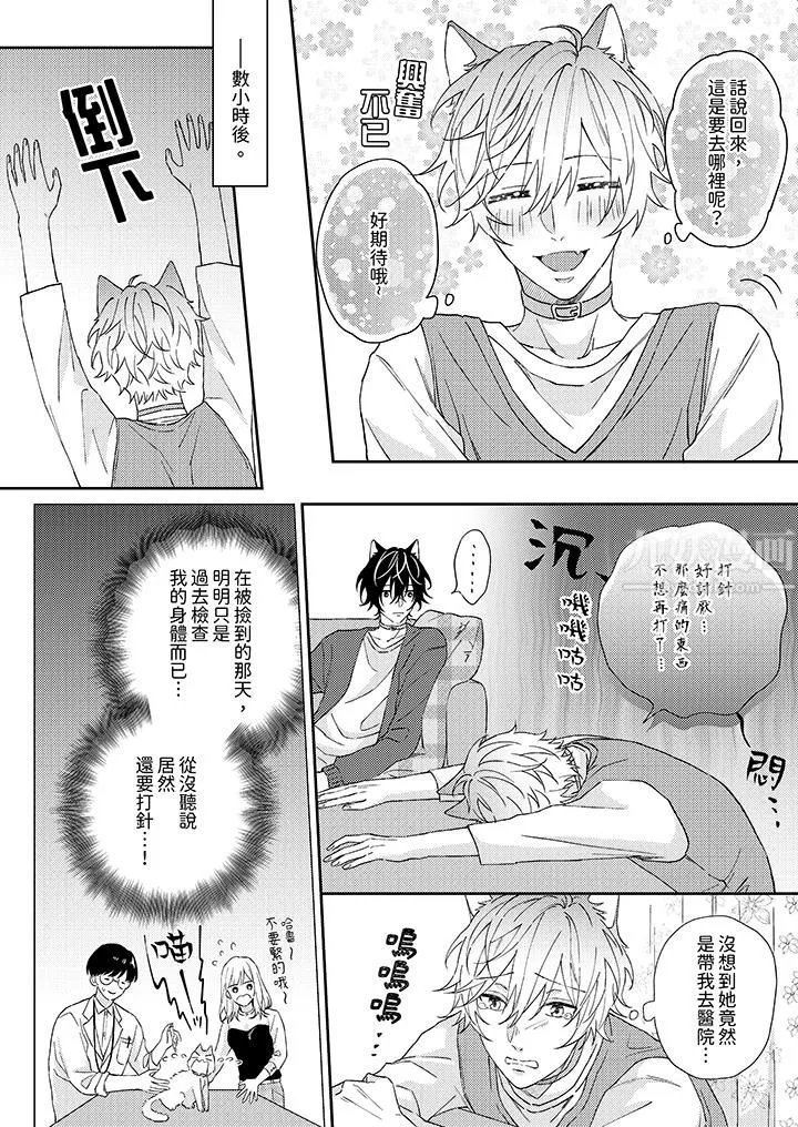 哈魯和路伊的二喵世界lovelife！第1話