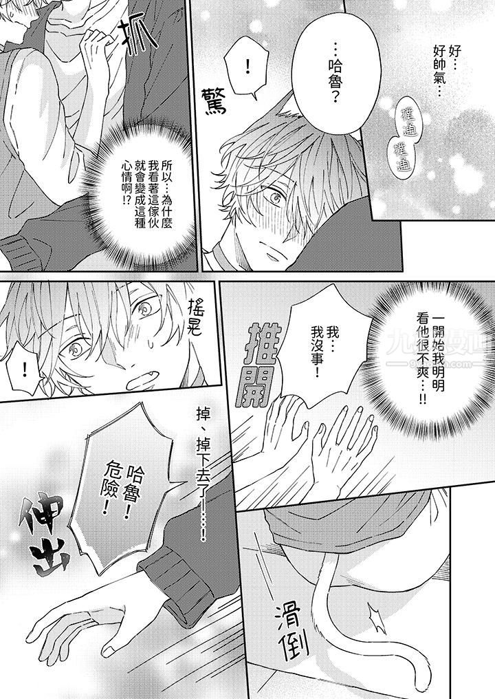 哈魯和路伊的二喵世界lovelife！第5話