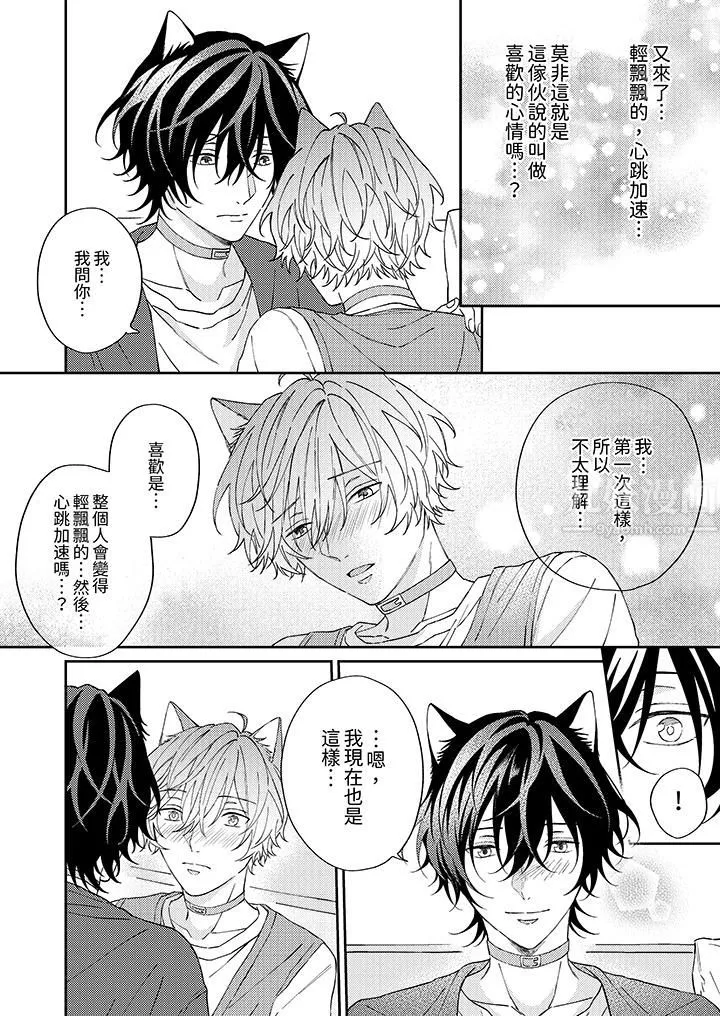 哈魯和路伊的二喵世界lovelife！第6話
