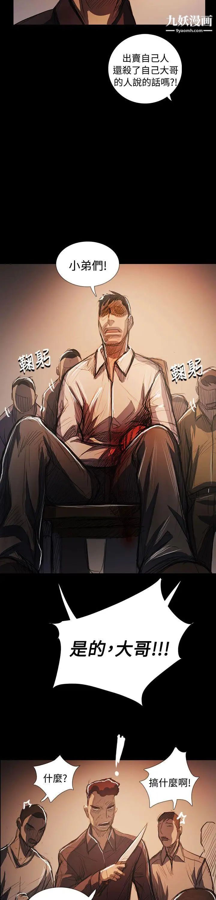 姊姊:莲最终话