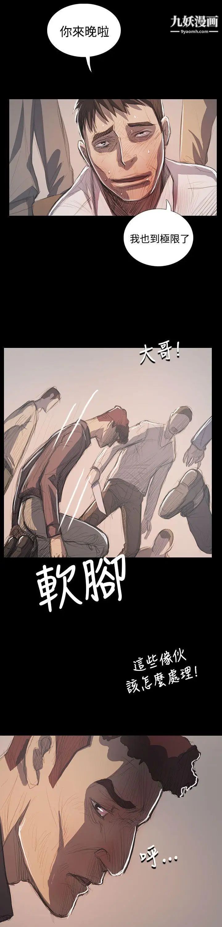 姊姊:莲最终话