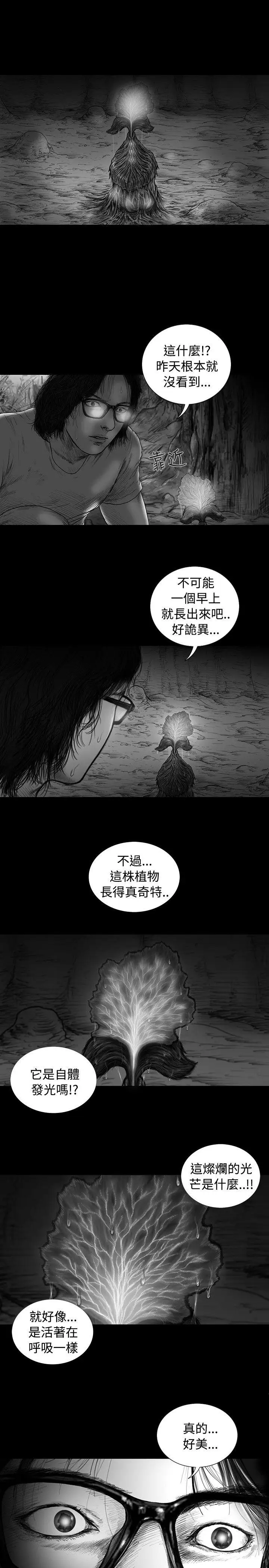 SEEDTheBeginning第10话