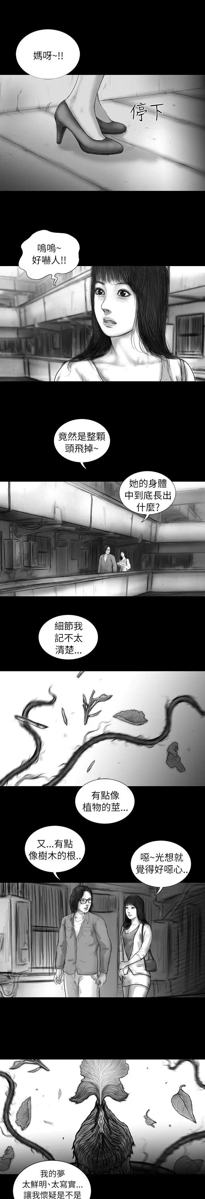 SEEDTheBeginning第12话