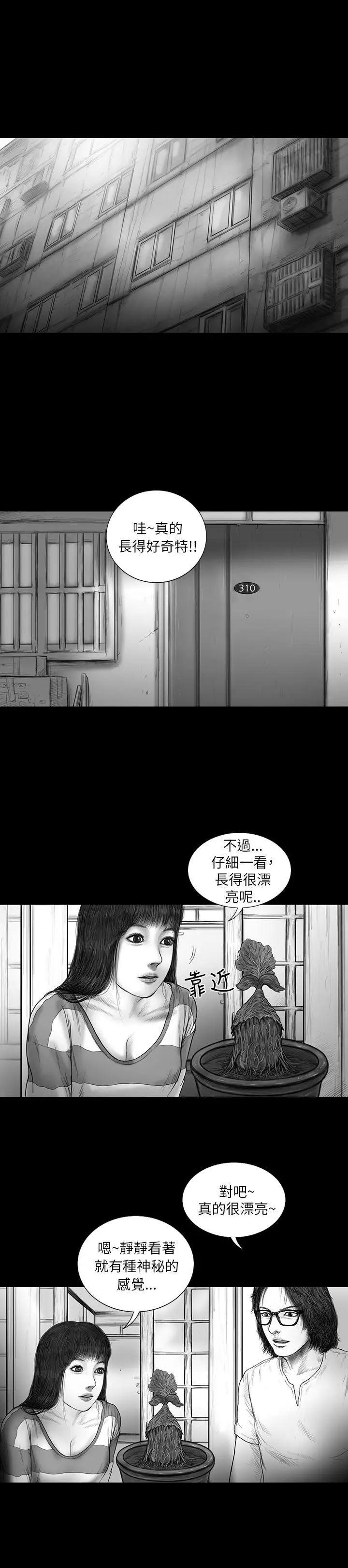SEEDTheBeginning第12话
