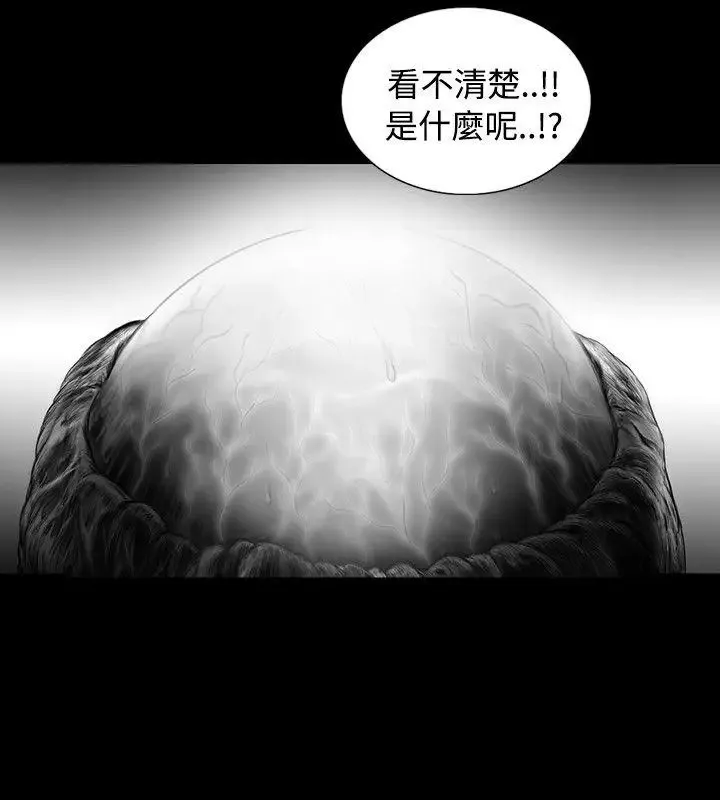 SEEDTheBeginning第15話