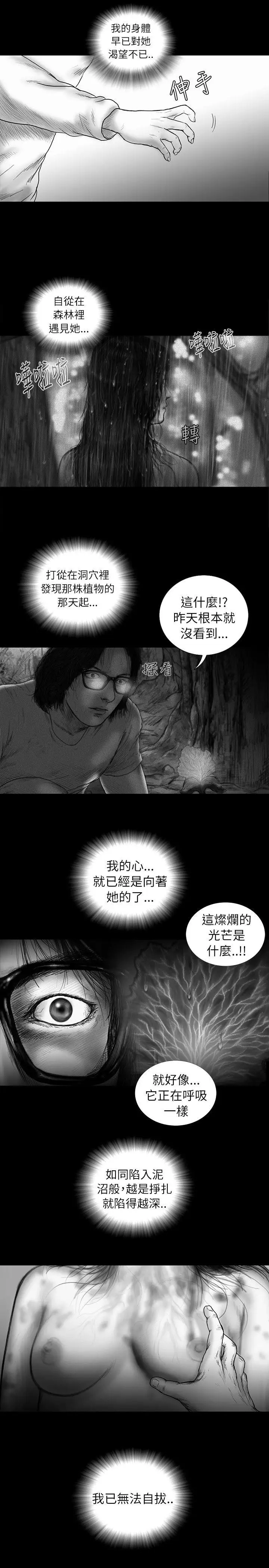 SEEDTheBeginning最終話