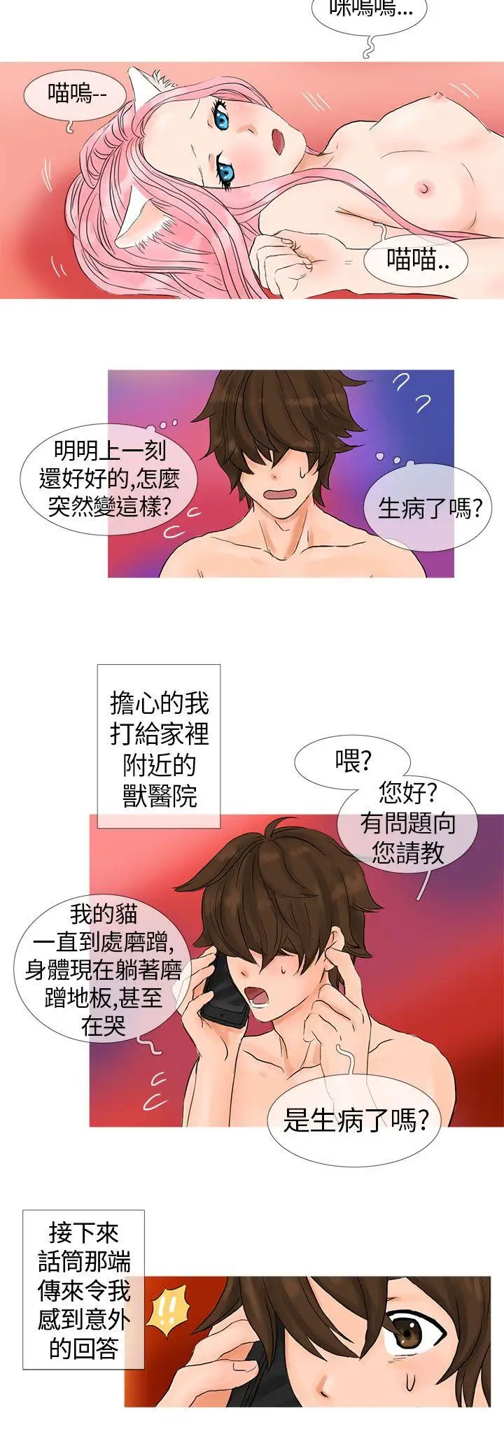 小野貓馴服手冊第1話