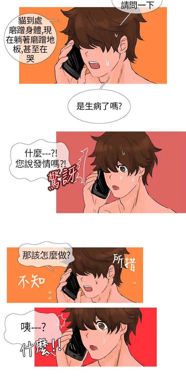 小野貓馴服手冊第3話