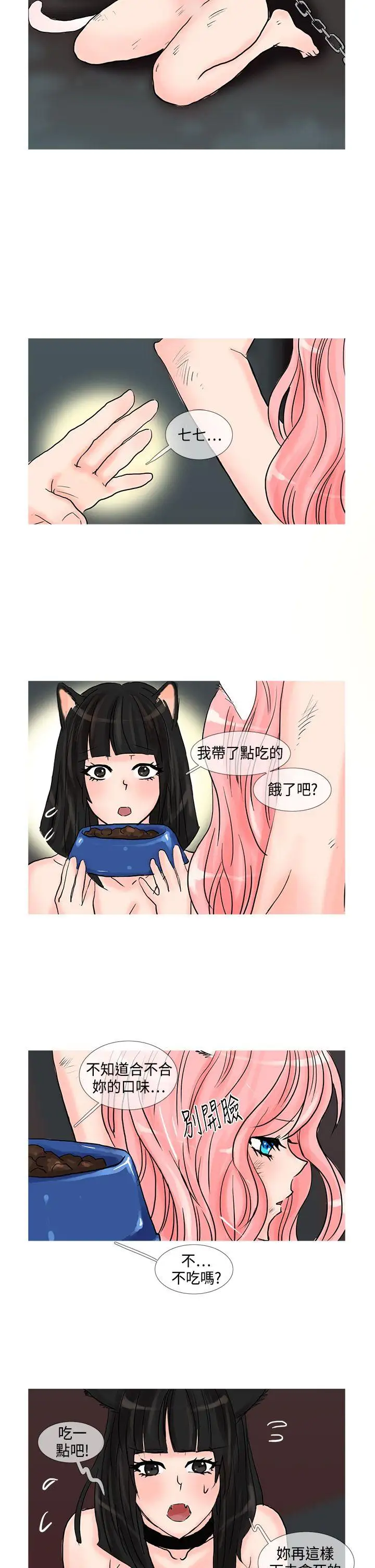小野貓馴服手冊第16話