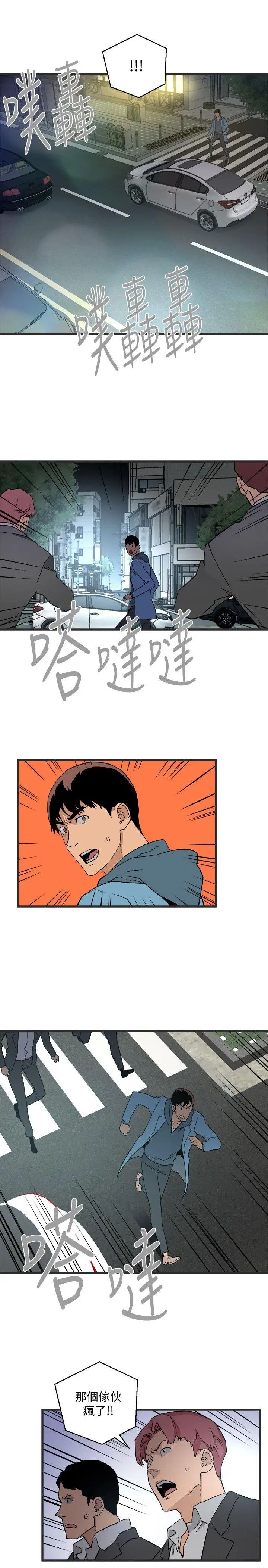 食物链第28话