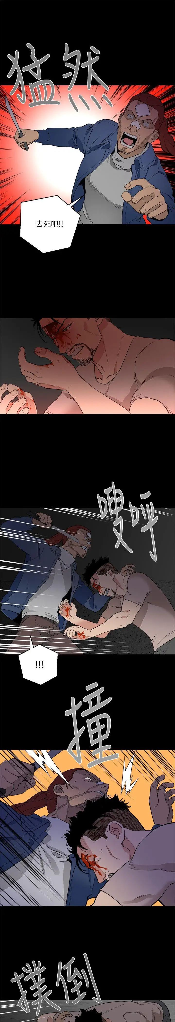 食物链第33话