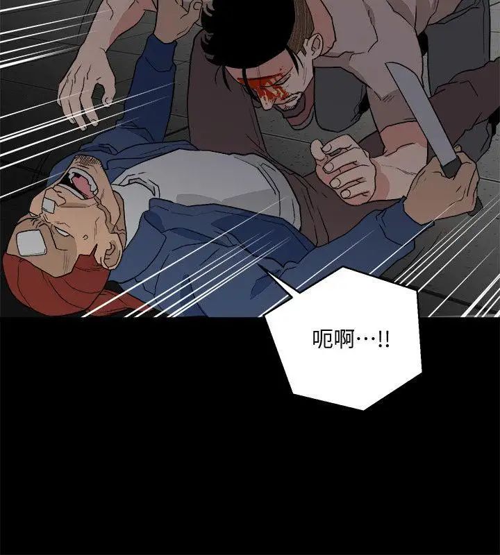 食物链第33话