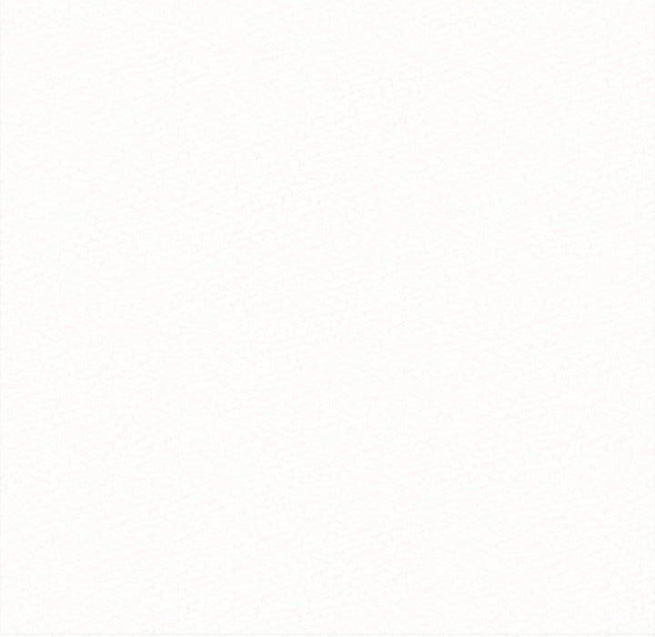 懵懂男生的戀愛史第13話