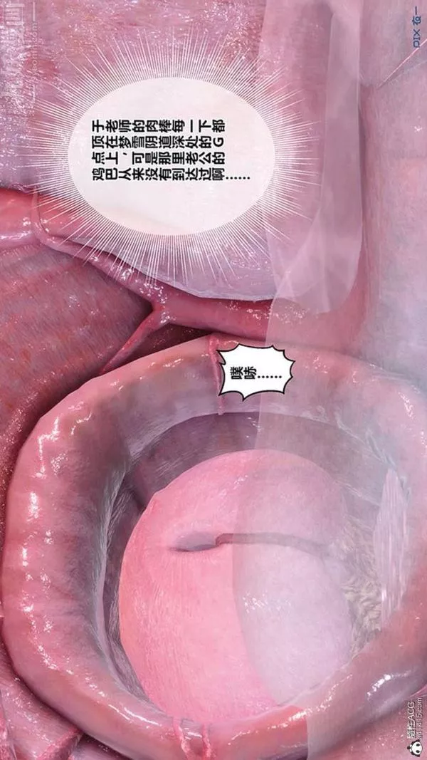 [3D]秘密番外-陳夢雪篇第02章-04坠落之华