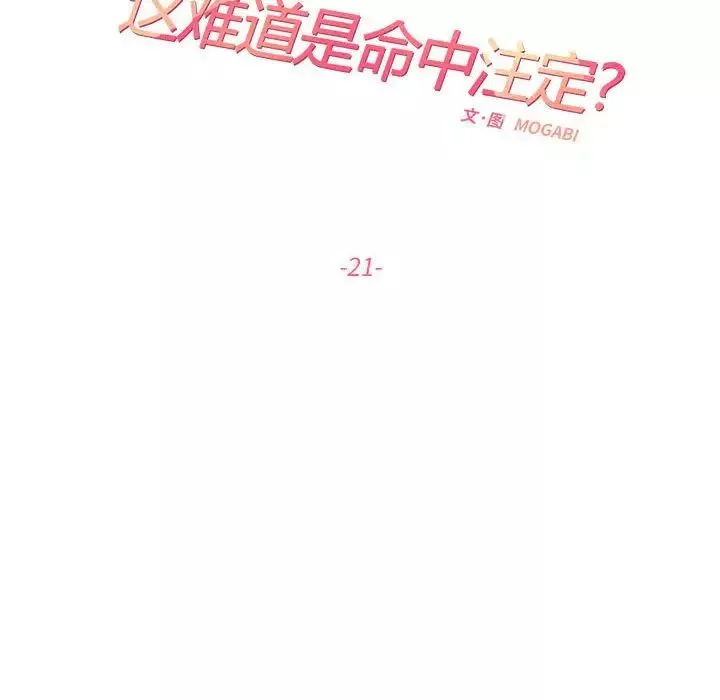 这难道是命中注定第21話