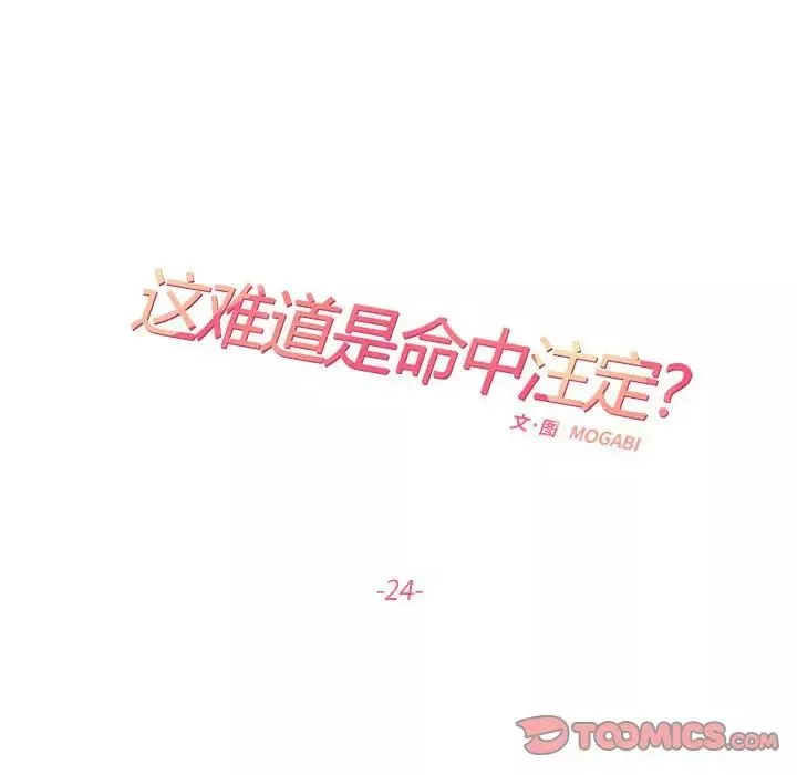 这难道是命中注定第24話