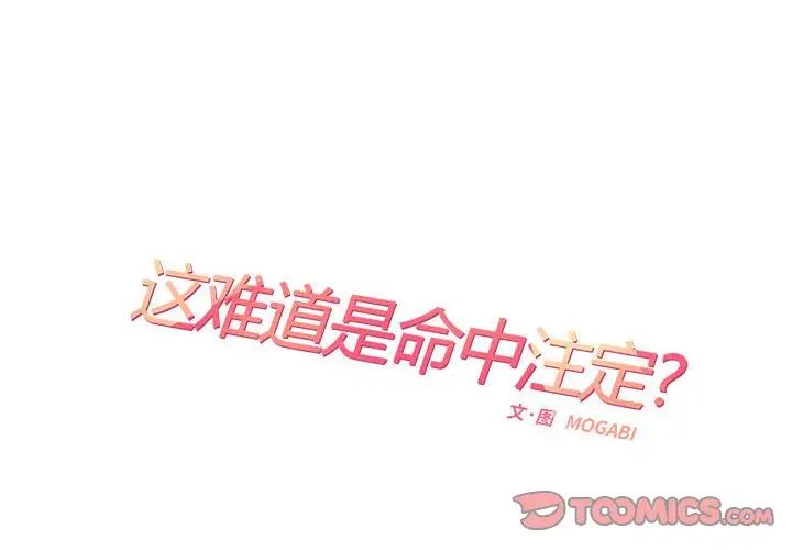 这难道是命中注定第25話