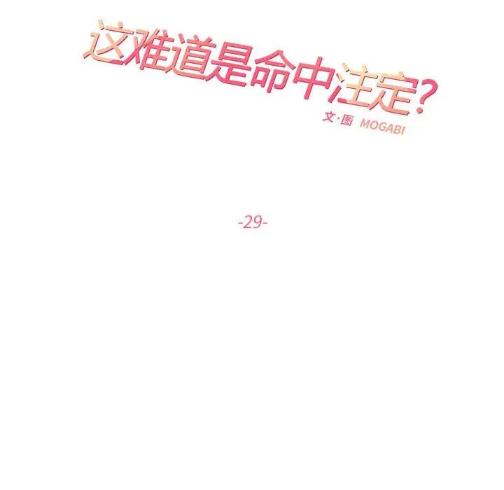 这难道是命中注定第29話