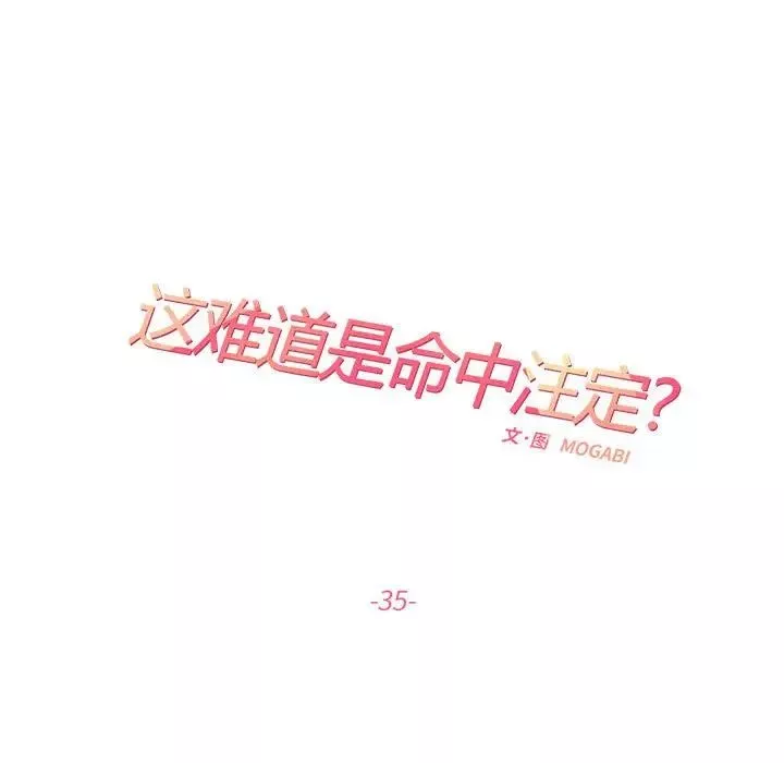 这难道是命中注定第35話