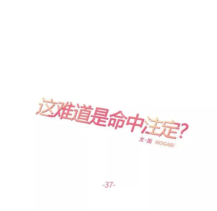 这难道是命中注定第37話
