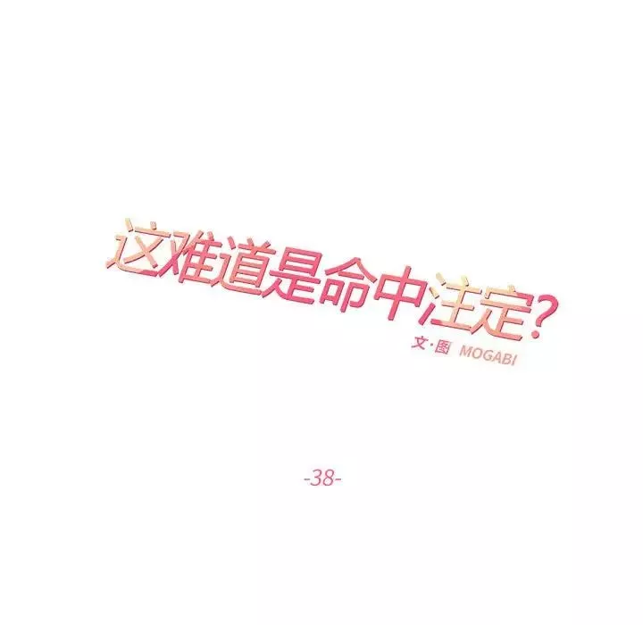 这难道是命中注定第38話