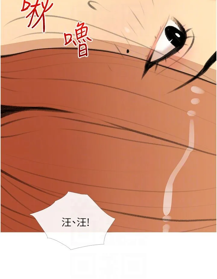 糖果爸爸的搶婚大作戰第28話-聽話的母狗有糖吃