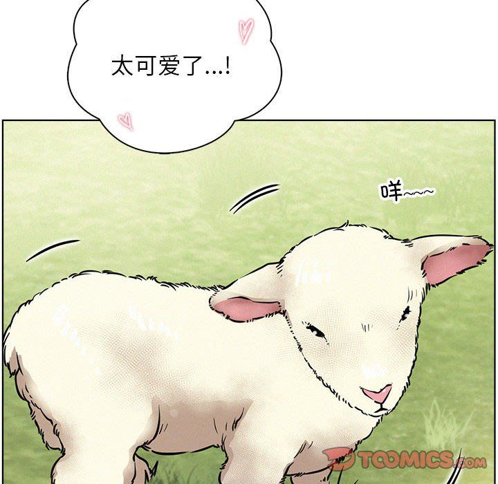 屋檐下的光第43話