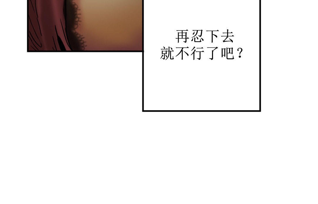 夫人的礼物第5话