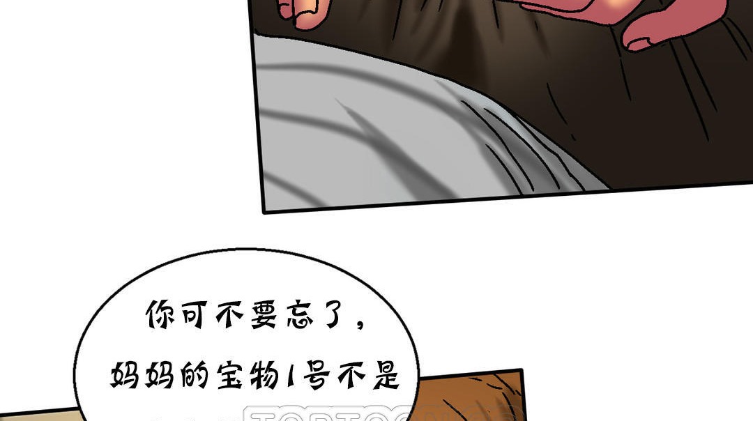 夫人的礼物第16话