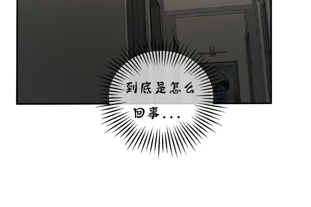 夫人的礼物第17话