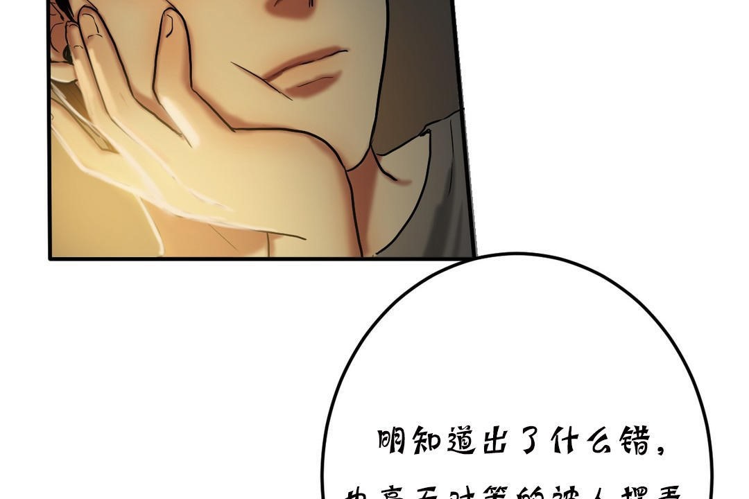 夫人的礼物第19话