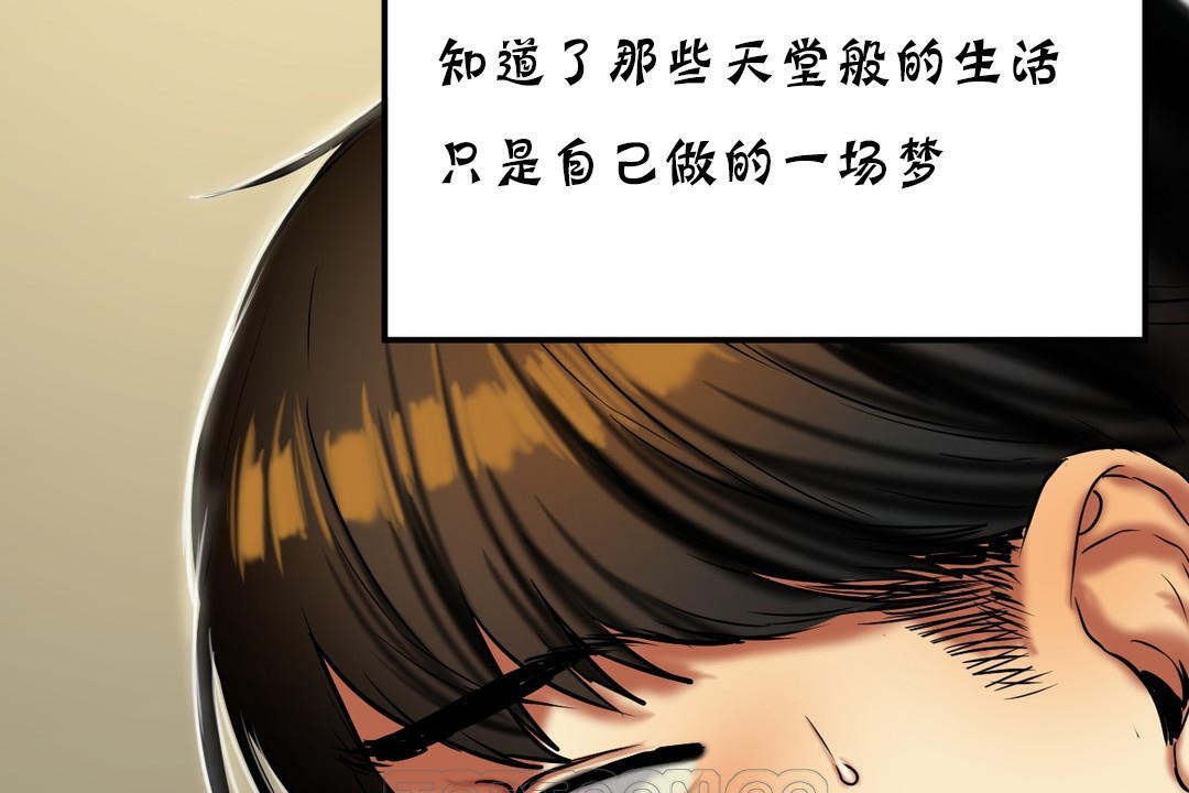 夫人的礼物第19话
