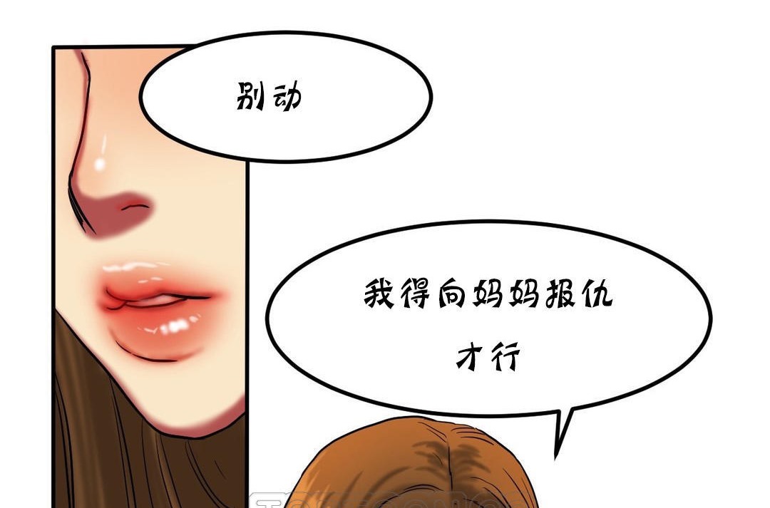 夫人的礼物第20话