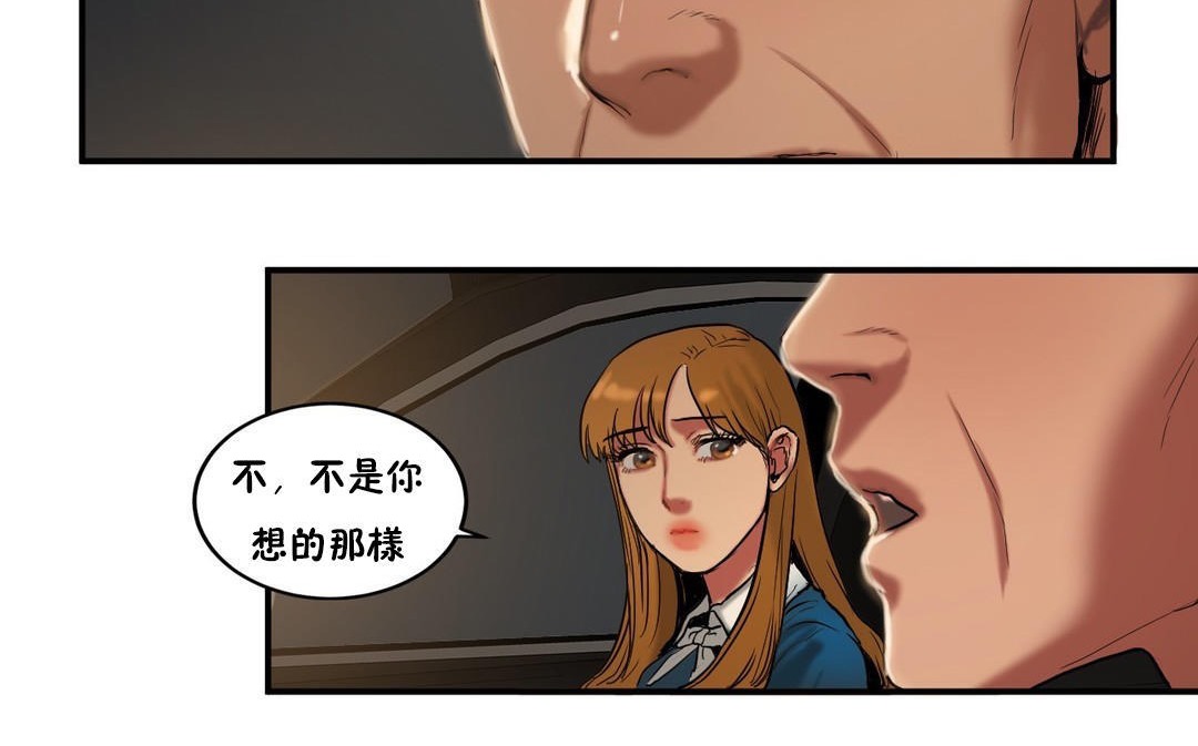 夫人的礼物第33话