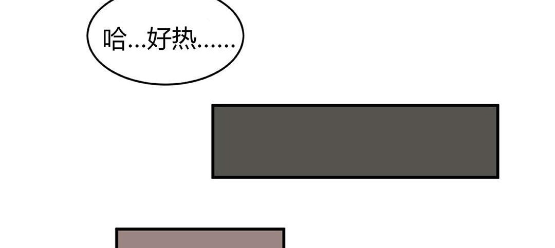 夫人的礼物第41话