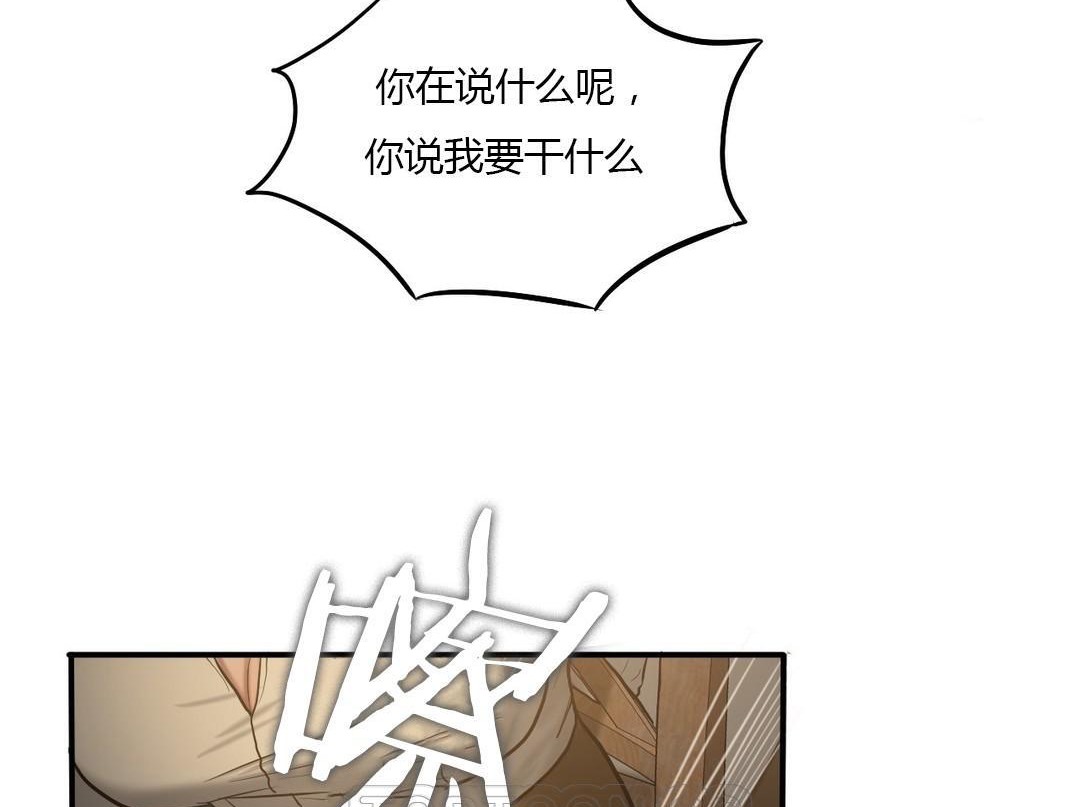 夫人的礼物第46话
