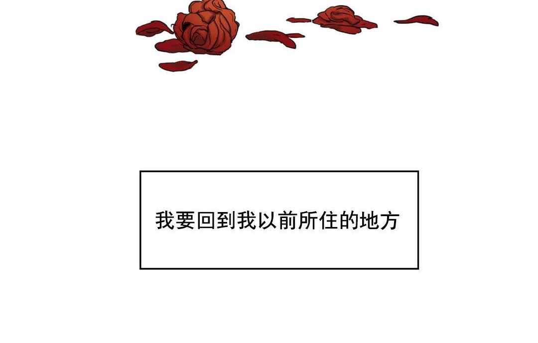 夫人的礼物第48话