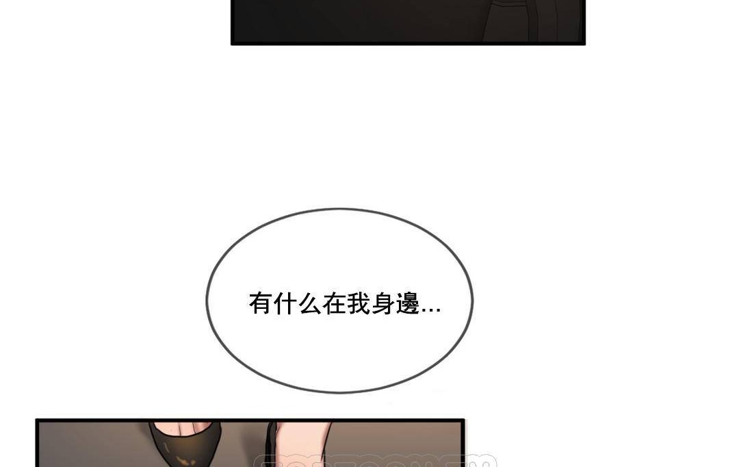 夫人的礼物第51话